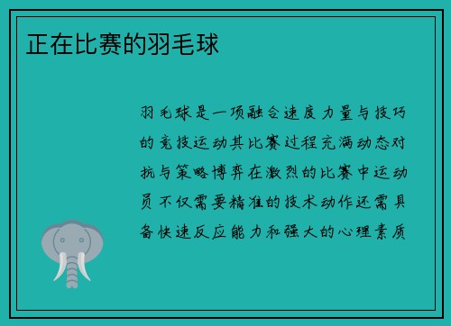 正在比赛的羽毛球