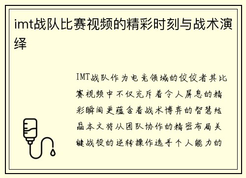 imt战队比赛视频的精彩时刻与战术演绎