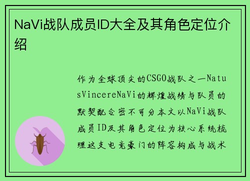 NaVi战队成员ID大全及其角色定位介绍