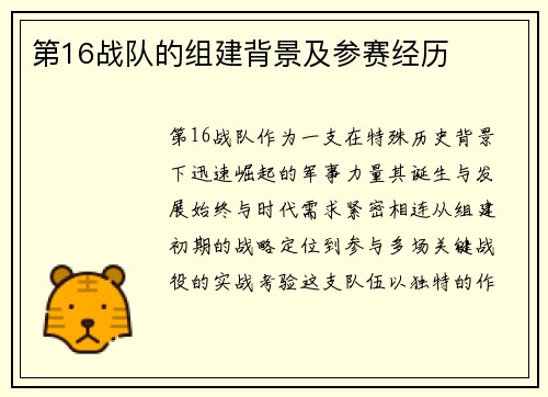 第16战队的组建背景及参赛经历
